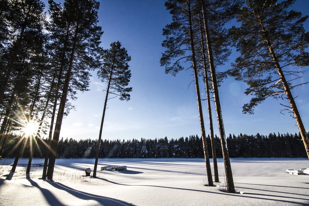 Lomaperkkioe Cottages Каяані Екстер'єр фото